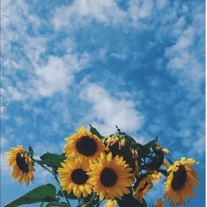 Meet your Posher, Jacy